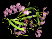 Description de l'image IPP isomerase structure with active sites highlighted.png.