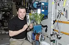 Roman Romanenko et les plantes de l'expérience BIO-5 dans le module Zvevda (26 octobre)