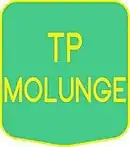 Logo du TP Molunge