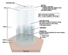 Schéma de l'observatoire de neutrinos IceCube.