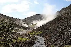 Reykjadalur, dans le Sud du système volcanique.