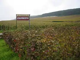 Image illustrative de l’article Chambertin