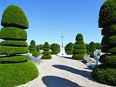 Les ifs centenaires du cimetière de Saint-Georges-sur-Eure