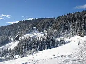 Photo d'une montagne enneigée avec les tremplins de saut à ski.