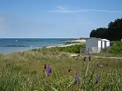 La plage des Sapins (nord-est de l'île).