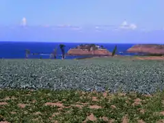 L'île du Guesclin, vue des terres.