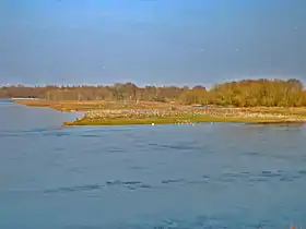 L’île aux Oiseaux depuis la rive gauche de la Loire, Sandillon, avril 2013.