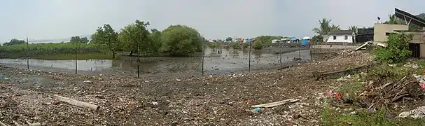 La mangrove à Shentbandar est asphyxiée par la pollution et par les déchets abandonnés sur l'île