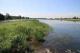 Battures de l'île Grosbois (à gauche) et vue sur l'île Dufault (au fond à droite)