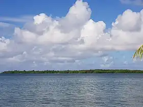 Ilet Macou vu de la plage de Babin