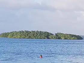 L'îlet Rat vu de la plage de Babin