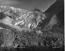 image du glacier en noir et blanc.