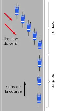 Vue schématique aérienne de la disposition de l'éventail et de la bordure. Les coureurs de déplace vers le haut de l'image en suivant la route. Des fléches indiquent la direction du vent, qui vient du coin en haut à gauche de l'image. Les coureurs à l'arrière du groupe, dans la bordure, sont collés au bord droit de la route. À l'avant les coureurs sont échelonnés, du côté gauche de la route à l'avant, au côté droit de la route, en arrière.