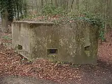 Casemate en béton à moitié recouverte par la végétation.