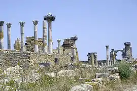 Cigognes nichant sur des vestiges archéologiques à Volubilis