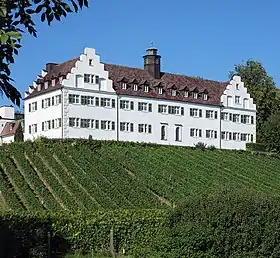Image illustrative de l’article Château de Hersberg