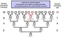  Individu unique en implexe au second degré