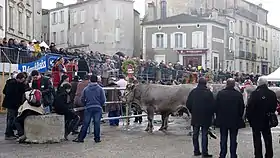 Image illustrative de l’article Promenade des bœufs gras de Bazas