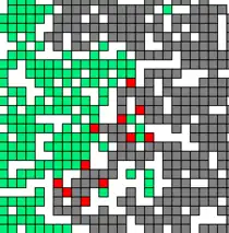 Illustration des automates cellulaires avec les feux de forêt