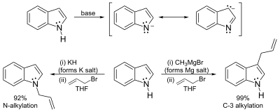 Formation et réactions de l'anion indole