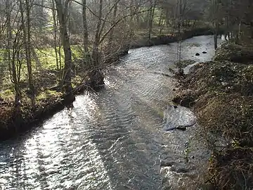 La rivière Indre en direction de Sainte-Sévère-sur-Indre 2012.