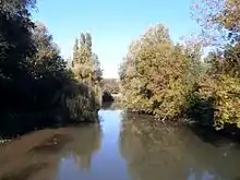 vue d'un cours d'eau calme entre deux rives bordées d'arbres