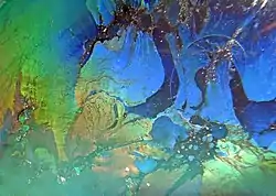 Biofilm très irisé, riche en infusoires (ici photographié à l'intérieur d'un arrosoir rempli d'eau de pluie, au fond duquel il restait quelques éléments de matière organique desséchée)
