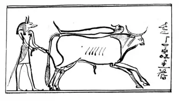 Anubis capture le taureau Bata (papyrus Jumilhac).