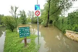 l'Yvette à Gif-sur-Yvette le 1er juin 2016.