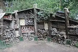 Beaucoup d'insectes logent ici (Heligan, Angleterre).