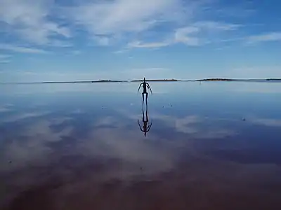 Inside Australia, Lac Ballard, 2003.