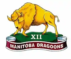 Image illustrative de l’article 12th Manitoba Dragoons