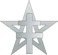 insigne présentant un pentagramme argenté chargé d'une croix de Lorraine