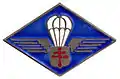 Insigne de la 1re compagnie de chasseurs parachutistes.