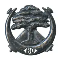 Image illustrative de l’article 80e régiment d'artillerie