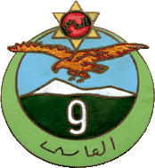 Image illustrative de l’article 9e régiment de tirailleurs algériens