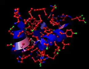 Insuline (hormone).