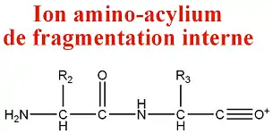 Structure d'un ion amino-acylium