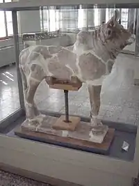 La collection préhistorique et élamite se trouve dans la 1re salle. Ici un taureau qui était placé à l'entrée d'un temple de Chogha Zanbil.