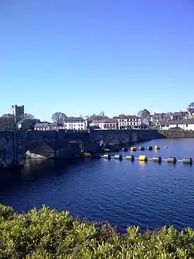 Pont entre Ballina et  Killaloe.