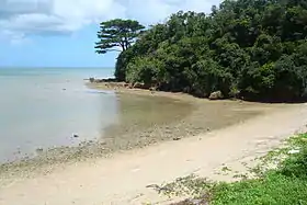 Une plage de Iriomote-jima.