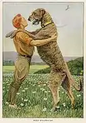 Illustration de 1919 issue de The book of dogs.