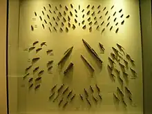 Photo montrant des pointes de flèches dans un meuble vitré.
