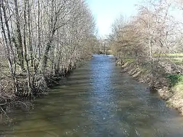 L'Isle en amont du pont situé entre Leymonie et les Maisons.