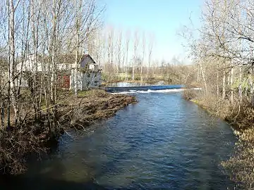 L'Isle en amont du pont de Taboury.