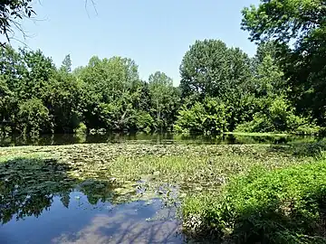 L'Isle en limite de Saint-Médard-de-Mussidan (au premier plan) et de Saint-Front-de-Pradoux (en rive opposée).