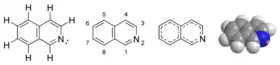 Image illustrative de l’article Isoquinoléine