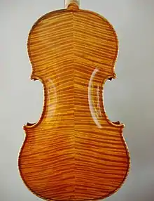 Vue arrière d'un violon (Érable moiré).