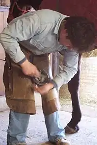 Maréchal-ferrant en train de fixer un fer sur un antérieur.