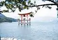 Torii du sanctuaire Itsukushima.